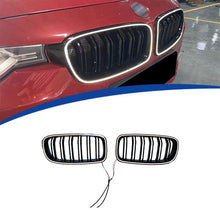 Светещи бъбреци за F30